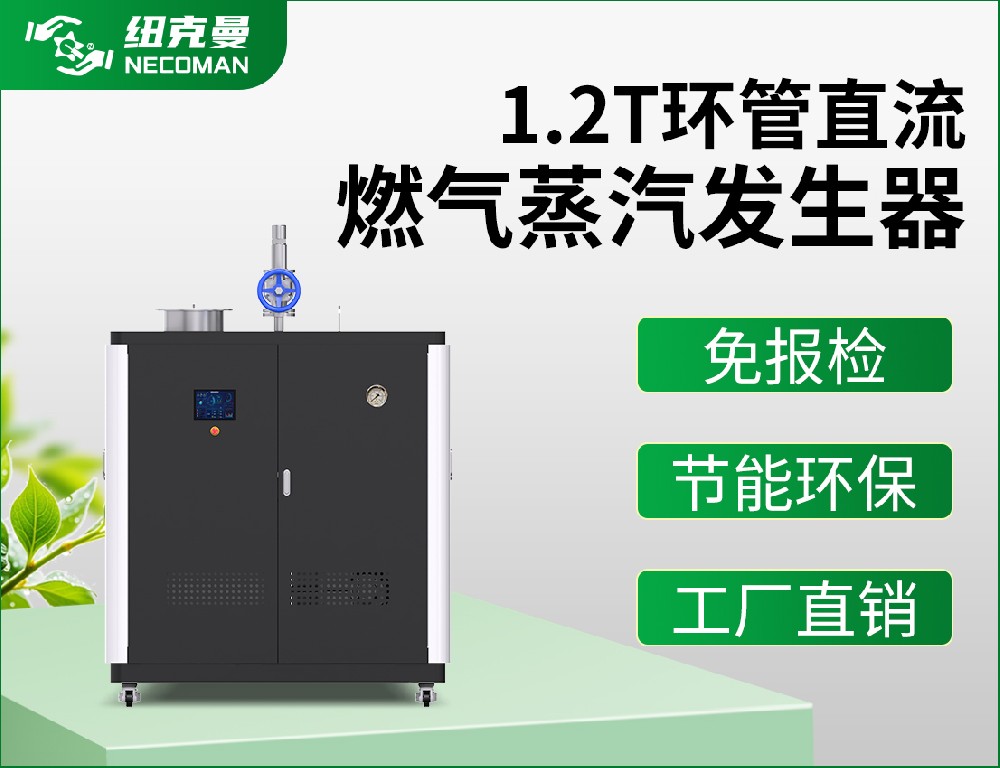 1.2吨 燃气燃油蒸汽发生器